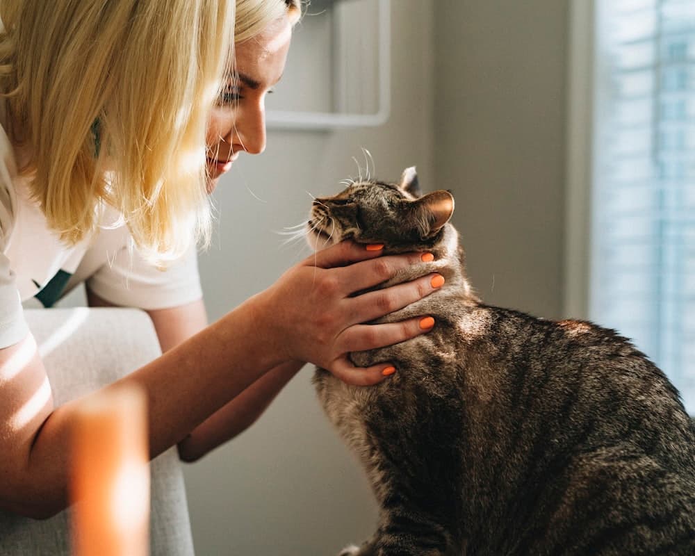 Veterinary