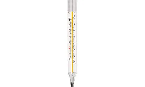 Dr. Odin Digital Thermometer