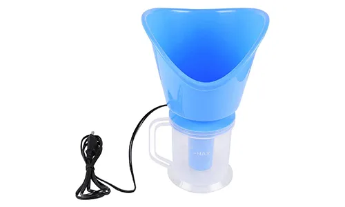 Steam Vaporizer